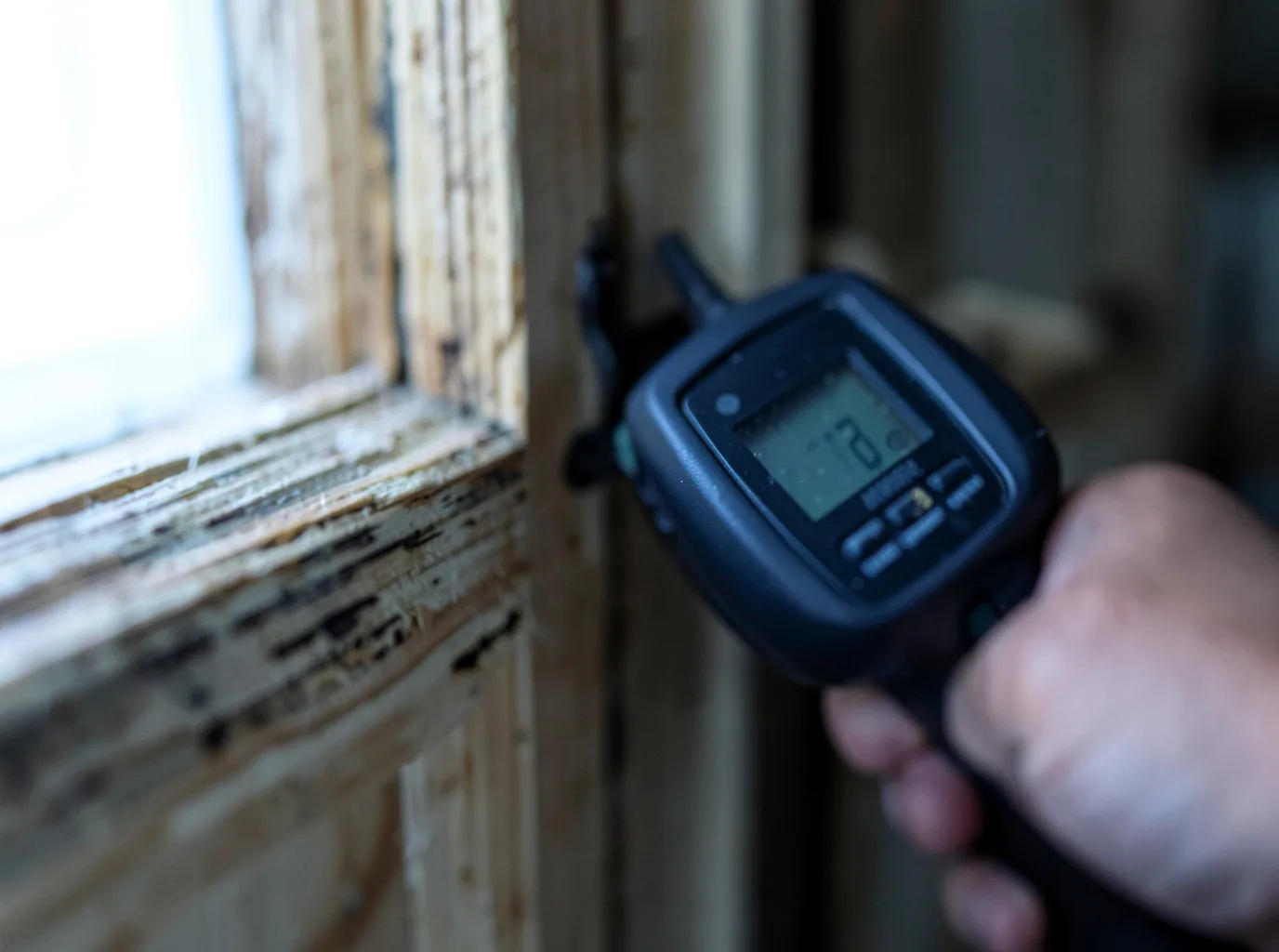 Commercial Water Damage Restoration in Dedham, MA